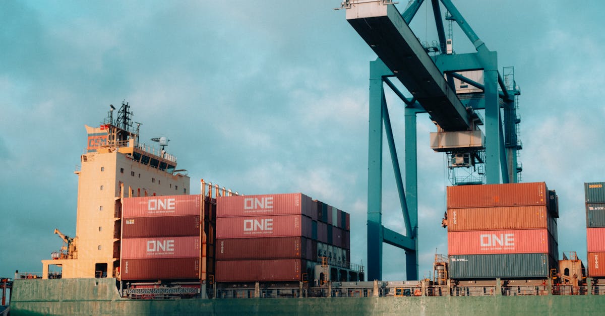 International exports